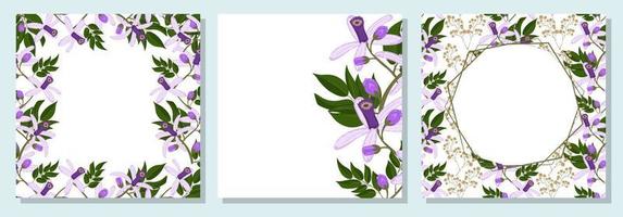 Set of square botanical template for greeting cards or invitations. Chinaberry flowers vector