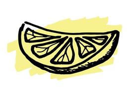 Hand drawn doodle slice of lemon. vector