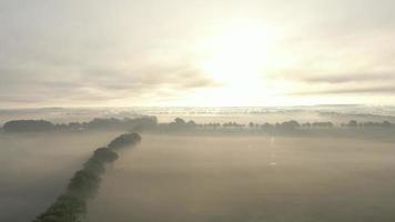 zon stijgt over- een veld- gedekt in mist video