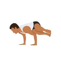 Man doing side crane pose in white background. Parsva Bakasana exercise. balance and recreation. Flat vector illustration isolated on white background