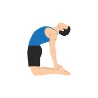 Man doing camel pose or ustrasana exercise. Flat vector illustration isolated on white background