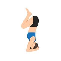 Woman doing Squeezing Pose. Practice Akunchanasana. Flat vector illustration isoalated on white background