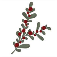 Winter branch with leaves and berries vector