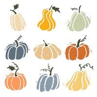 conjunto de calabazas aisladas sobre fondo blanco vector