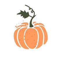 Cute pumpkin isolated on white background vector