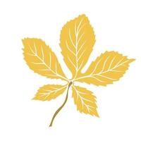 Hand drawn chestnut leaf. Botanical drawing vector