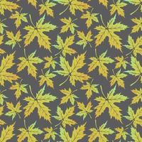 Seamless pattern with Maple  leaves. Design for textiles, fabric, tapestries vector