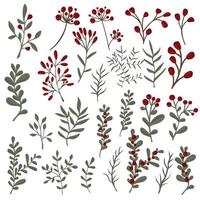 Winter berries and leaves vector