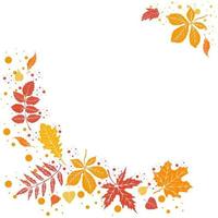 Square autumn template with falling leaves vector