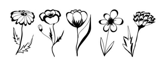 Spring flowers. Vector illustration