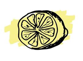 Hand drawn doodle slice of lemon. vector