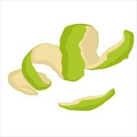Hand-drawn  lime peel isolated on white background vector