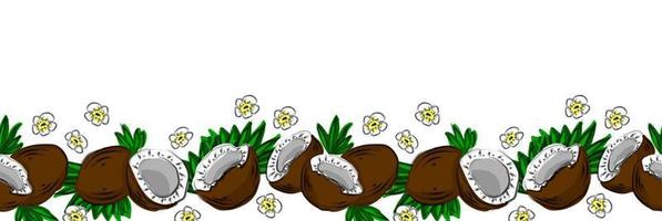 Cute hand drawn coconuts and palms horizontal seamless pattern vector