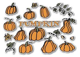 Collection of  pumpkin stickers in doodle style vector