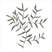 Hand drawn branch with leaves isolated on white background vector