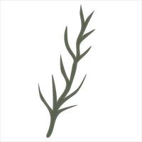 Hand drawn branch with leaves isolated on white background vector