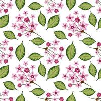 Seamless pattern with hoya home flower vector