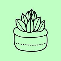 Succulent outline vector artwork design for websites, printing and others.