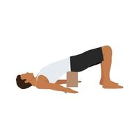 Man doing bridge pose setu bandha sarvangasana exercise. Flat vector illustration isolated on white background