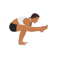 Woman doing Firefly Pose Variation. Practice Tittibhasana Variation. Flat vector illustration isolated on white background