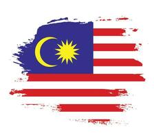 trazo de pincel de pintura vectorial bandera de malasia vector