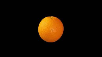 Orangenfrucht, orange mit schwarzem Hintergrund video