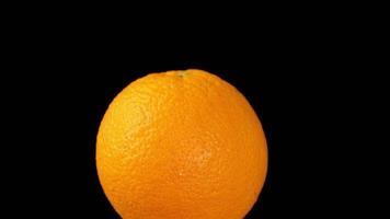 fruta laranja em preto video