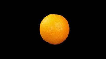 Orange fruit on black video