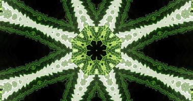 Abstract kaleidoscope animation,Abstract geometric movie video
