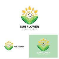 diseño de logotipo de girasol, vector de icono de planta de jardín de plantas ornamentales, marca de producto de la empresa