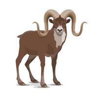 cabra markhor con cuernos de tornillo, vector animal salvaje