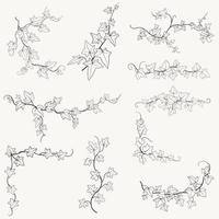 Floral ivy drawing decorative ornament flat design collection. vector