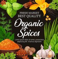 Natural herbs, vector organic seasoning spices