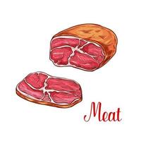 Meat brisket sketch with slice of beef or pork vector