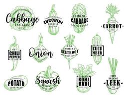 Organic natural vegetables, vector lettering