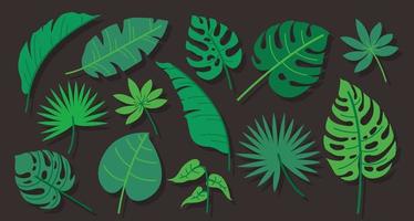 Tropical leaves elements vector illustration