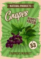 Grapes fruit natural farm product vector