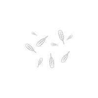 Feather background vektor vector