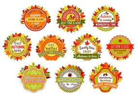 Autumn label and badge set of fall nature leaf vector