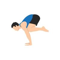 Man doing Crow pose bakasana exercise. Flat vector illustration isolated on white background