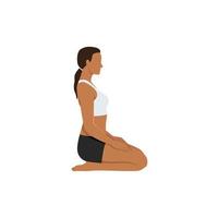 Woman doing Thunderbolt Pose, Adamantine Pose, Diamond Pose. Practice Vajrasana. Flat vector illustration isolated on white background