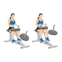 mujer haciendo ejercicio con equipo de gimnasio. Elevación de pantorrillas sentado en máquina. plano vector