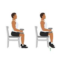 Man doing seated dumbbell or chair calf raises. Keep both legs at a 90-degree angle. Extend the heels of pushing the toes on the ground and lifting the heels of pushing. Flat vector illustration