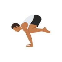 Man doing Crow pose bakasana exercise. Flat vector illustration isolated on white background