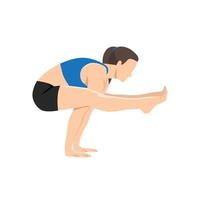 mujer haciendo variación de pose de luciérnaga. Practica la variación de tittibhasana. ilustración vectorial plana aislada sobre fondo blanco vector