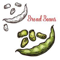 Bread beans vector sketch fruit