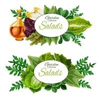 Lettuce salad and spinach leaves. Vegetable food vector