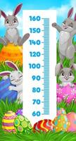 Kids height chart meter, Easter bunnies with eggs vector