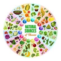 vitamina natural, fuentes de alimentos vegetarianos vector