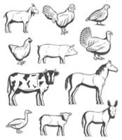 Cattle farm animals and birds vector